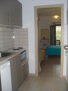 Kuchyňa alebo kuchynka v ubytovaní Guesthouse Irene