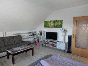 ein Wohnzimmer mit Sofa und Fernseher in der Unterkunft Ferienwohnung Schusi Kesselsdorf in Kesselsdorf