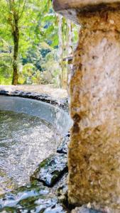 Foto dalla galleria di Sítio Stöckli a Itatiaia