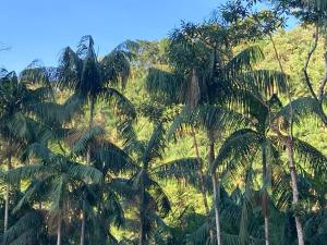 Foto dalla galleria di Sítio Stöckli a Itatiaia