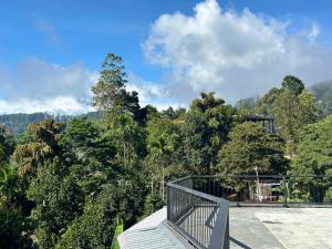 a balcony of a house with trees in the background at Beyond Nomad Luxury Hostel in Ella