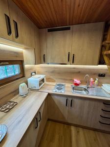 a kitchen with a sink and a microwave at Chata ALPINA 1 in Tatranská Lomnica