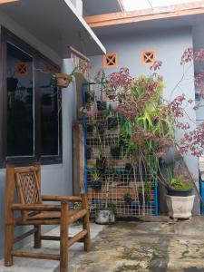 Zimmer mit Stuhl und Pflanze in der Unterkunft relic room-Eps Comfortable for Anyone in Malang