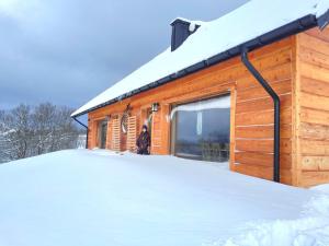 a person standing in front of a building in the snow at Kuźnia Nowica in Uście Gorlickie