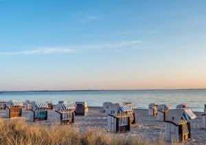 a row of beach chairs on the beach at Strandliebe in Scharbeutz, 150m zum Strand! Sonnenbalkon, ruhig gelegen, kostenfreier Parkplatz, Fahrstuhl in Scharbeutz +32 photos