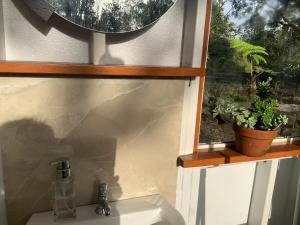 Fotografie z fotogalerie ubytování Majestic Banya tree cabin v destinaci Mountain View