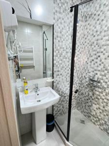 巴库里阿尼Eco Cottage BaBi的带水槽和淋浴的白色浴室