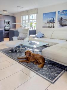 a brown dog laying on a rug in a living room at Ferienhaus Mee(h)rZeit in Zingst