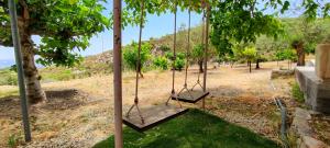 a swing in a park with trees at Olive Grove Cottage Guest house in Kouka +10 photos