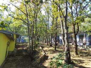 a forest of trees next to a house at Бунгала Дъбрава in Shkorpilovtsi