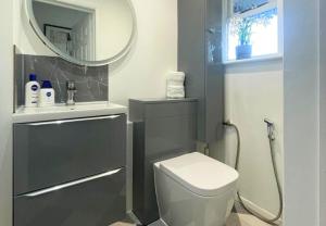 une salle de bain avec toilettes, lavabo et miroir dans l'établissement Aisiki Living at Hayes, 3-Bedroom, Pet-Friendly House with Garden, Single or Double Beds, with Free Wi-Fi and Parking Space, à Northolt 9 autres photos