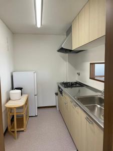 Kuhinja oz. manjša kuhinja v nastanitvi Ns Home 南名古屋一軒家ルームシェア-3G