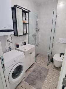 un bagno con lavatrice e lavandino di Apartman Gala Divčibare - Divčinova a Divčibare