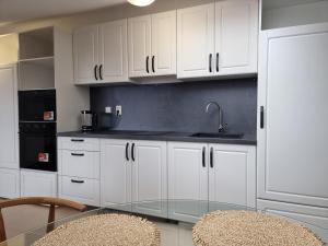 Kuchyň nebo kuchyňský kout v ubytování Belvedere private apartment 1-bedroom with balcony + 11 fotografií