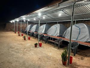 Φωτογραφία από το άλμπουμ του The nest bettathur Coorg campsite σε Madikeri +6 φωτογραφίες