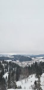 Apartman Vuk Zlatar v zimě