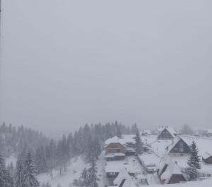 Apartman Vuk Zlatar v zimě