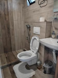 a bathroom with a toilet and a sink at Guest House Dimitrije in Niška Banja