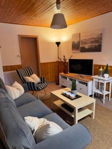 a living room with a blue couch and a tv at Chata HANA in Jeseník