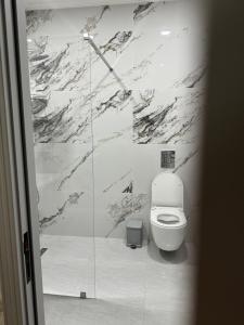 バクーにあるDel Mar 105の白いトイレと大理石の壁が備わるバスルーム +9枚の写真