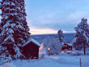 Hotell Åre Fjällsätra v zimě + 81 fotografií