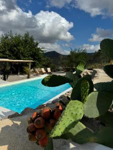 The swimming pool at or close to Masía La Costereta Még 37 kép