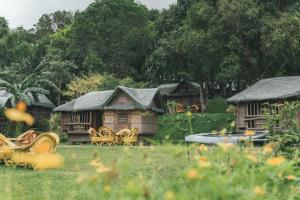 Zahrada ubytování The Apiary Mountain Camp and Farm + 37 fotografií