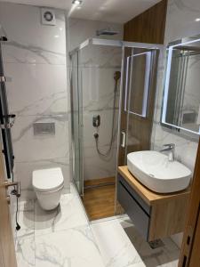 a bathroom with a toilet and a sink and a shower at Apartman Nikola in Zlatibor
