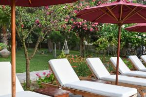 Zahrada ubytování Marphe Hotel