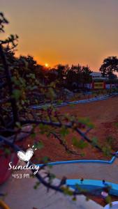 a picture of a sunset in a park with a bird at Hotel Vijay Greens in Orchha +7 photos