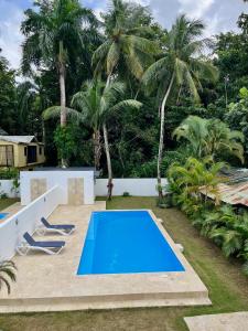 a pool in the backyard of a house with palm trees at Villa Valentina Cabarete Procab in Cabarete