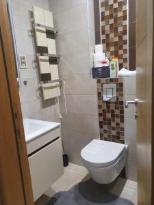 a small bathroom with a toilet and a sink at Apartman Green Lux - Balkan Hil 1 in Zlatibor +29 photos