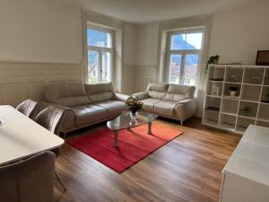 Posezení v ubytování Apartment in a villa in Erstfeld