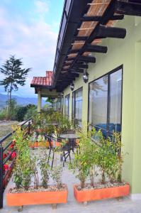 Zahrada ubytování Monteverde Best Inn - HOTEL