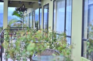 Zahrada ubytování Monteverde Best Inn - HOTEL