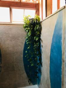une plante dans un vase bleu sur un mur dans l'établissement Cumbuca Hostel, à Porto Seguro 4 autres photos