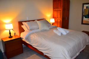 Postel nebo postele na pokoji v ubytování Monteverde Best Inn - HOTEL