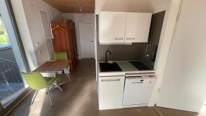 Η κουζίνα ή μικρή κουζίνα στο Panorama-Wohnung in Laufenburg mit Carport und Bahn-Bus-gratis KONUS