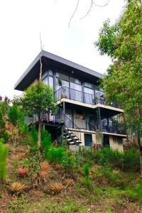 Сад в Green Therapy Cottage +55 фотографий