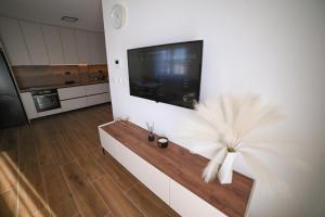 Kuchyň nebo kuchyňský kout v ubytování Apartman Bašić