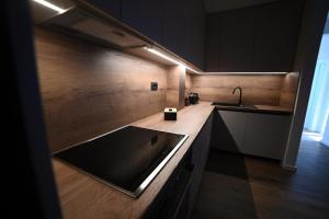 Kuchyň nebo kuchyňský kout v ubytování Apartman Bašić