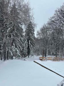 Planinska vikendica Rudnik að vetri til
