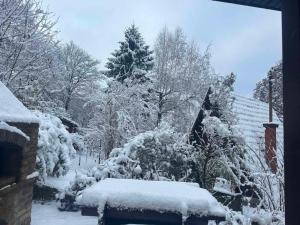 Planinska vikendica Rudnik að vetri til