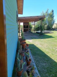 a row of cacti in pots on the side of a house at Cabaña El Pazo in Sierra de la Ventana