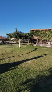 Ein Schatten eines Baumes auf einem Grasfeld in der Unterkunft Casita Anna Maria Potidea in Nea Potidaea