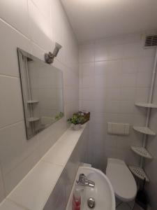 a bathroom with a sink and a toilet and a mirror at Große helle Wohnung nähe Audi und Lidl IT in Bad Friedrichshall +4 photos