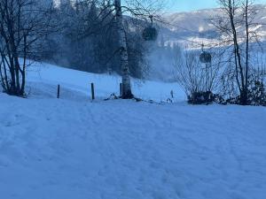 Fotografia z galérie ubytovania Ferienhaus Oberberg vo Flachau
