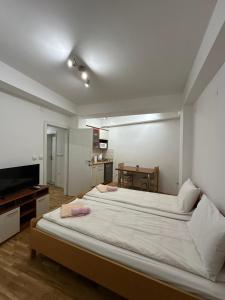 a bedroom with a large bed and a television at Diamond central 1 in Ohrid