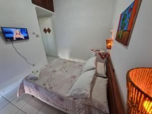 TV a/nebo společenská místnost v ubytování Pousada Brilho De Paraty
