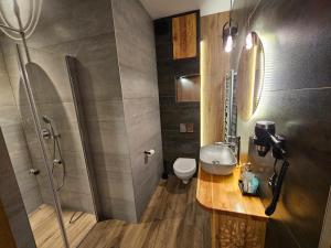 a bathroom with a shower and a toilet and a sink at Apartament SKUPNIOWY UPŁAZ in Murzasichle +25 photos